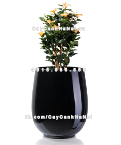 chau composite trong cay cao cap anber 1133den bong 8