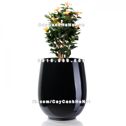 chau_composite_trong_cay_cao_cap_anber_1133den-bong-8