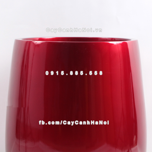 chau_composite_trong_cay_cao_cap_anber_1133do-do-1