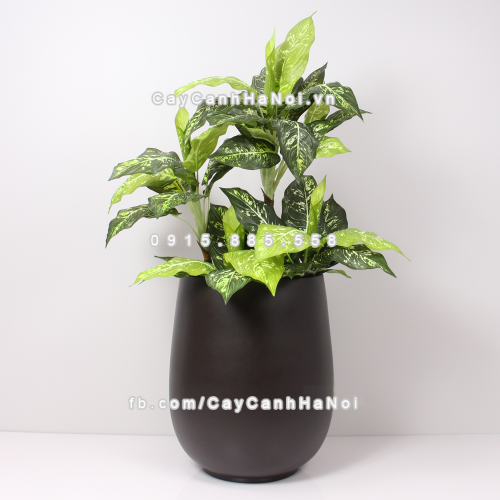 chau_composite_trong_cay_cao_cap_anber_1133nau-chocolate-3