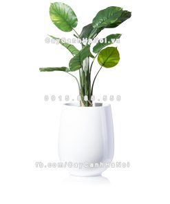 chau composite trong cay cao cap anber 1133trang bong 3