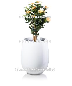 chau composite trong cay cao cap anber 1133trang bong 4