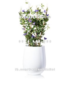 chau composite trong cay cao cap anber 1133trang bong 5