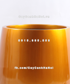 Chậu composite trồng cây cao cấp Anber 1133 (Vàng gold) 1 chau composite trong cay cao cap anber 1133vang gold 2