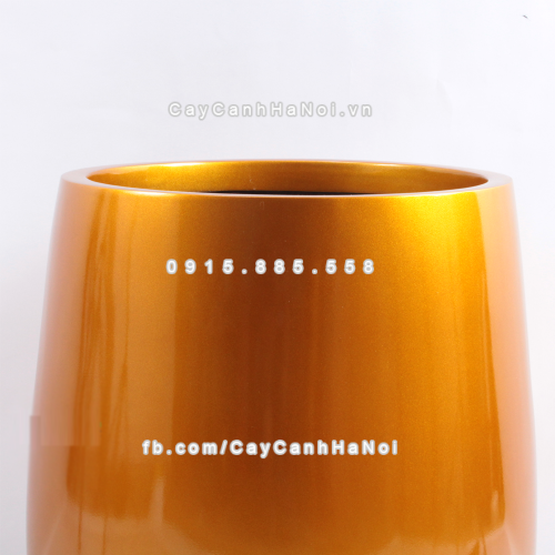 chau_composite_trong_cay_cao_cap_anber_1133vang-gold-2