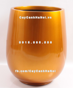 Chậu composite trồng cây cao cấp Anber 1133 (Vàng gold) 2 chau composite trong cay cao cap anber 1133vang gold 3