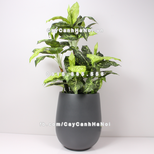 chau_composite_trong_cay_cao_cap_anber_1133xam-mo-2