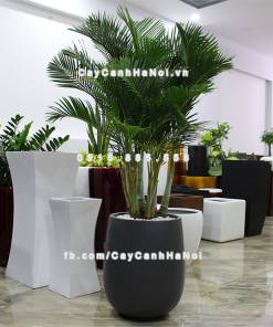 Chậu composite trồng cây cao cấp Anber 1133 (Xám mờ) 2 chau composite trong cay cao cap anber 1133xam mo 3