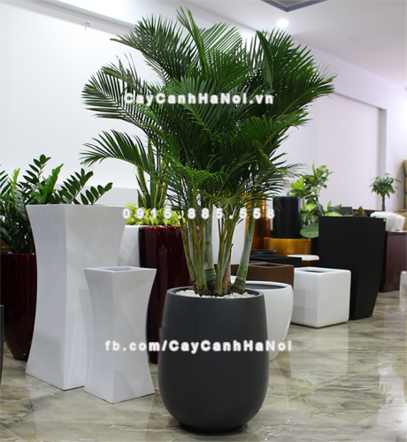 chau_composite_trong_cay_cao_cap_anber_1133xam-mo-3