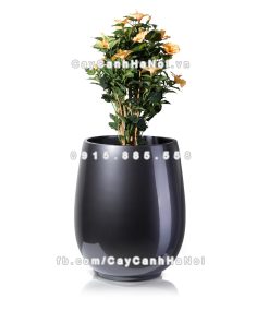 Chậu composite trồng cây cao cấp Anber 1133 (Xám bóng) 2 chau composite trong cay cao cap anber 1133xam bong 3
