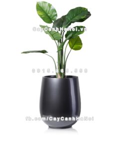 Chậu composite trồng cây cao cấp Anber 1133 (Xám bóng) 3 chau composite trong cay cao cap anber 1133xam bong 4