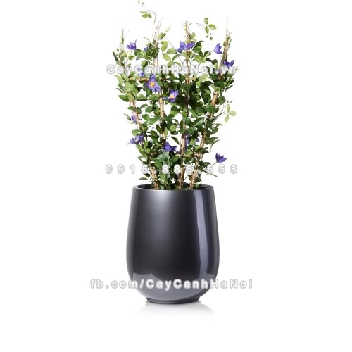 chau_composite_trong_cay_cao_cap_anber_1133xam_bong-5