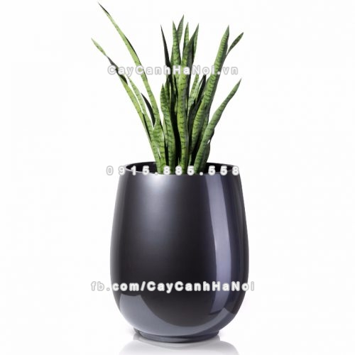 chau_composite_trong_cay_cao_cap_anber_1133xam_bong-6