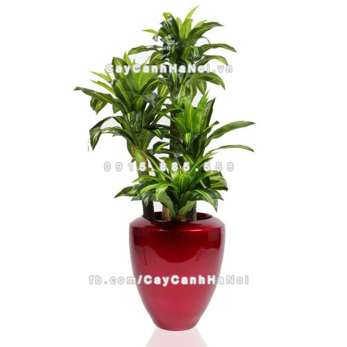 chau_composite_trong_cay_cao_cap_anber_1138do_bong-2