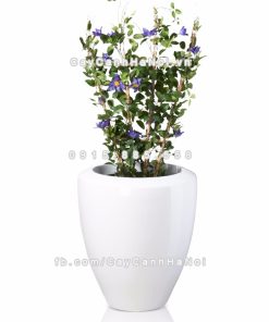 chau composite trong cay cao cap anber 1138trang bong 2