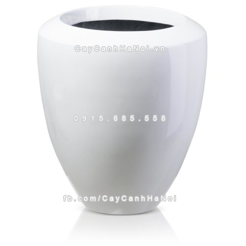 chau_composite_trong_cay_cao_cap_anber_1138trang_bong-3