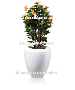 chau composite trong cay cao cap anber 1138trang bong 4