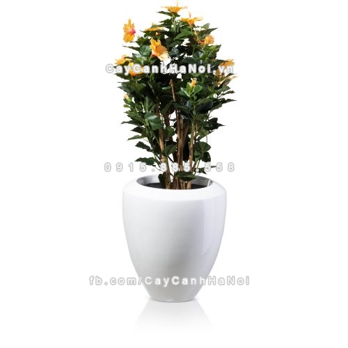 chau_composite_trong_cay_cao_cap_anber_1138trang_bong-4