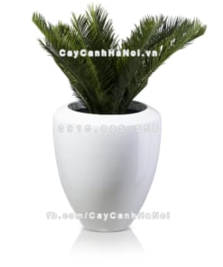 chau composite trong cay cao cap anber 1138trang bong 5