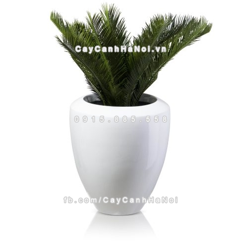 chau_composite_trong_cay_cao_cap_anber_1138trang_bong-5