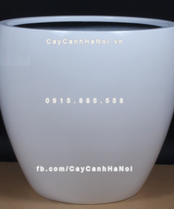 Chậu composite trồng cây cao cấp Anber 1151 (Trắng bóng) 1 chau composite trong cay cao cap anber 1151trang bong 1