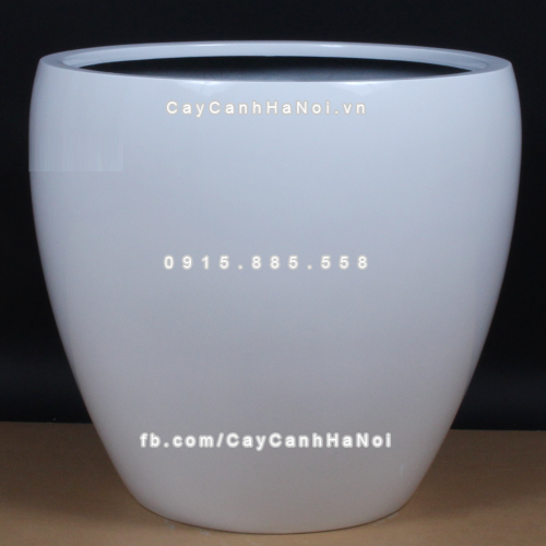 chau_composite_trong_cay_cao_cap_anber_1151trang_bong-1