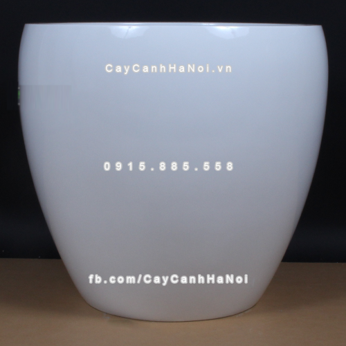 Chậu composite trồng cây cao cấp Anber 1151 (Trắng bóng) 7 chau_composite_trong_cay_cao_cap_anber_1151trang_bong-2