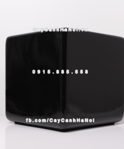 Chậu composite trồng cây cao cấp Anber 1476 (Đen bóng) 2 chau composite trong cay cao cap anber 1476den bong 1