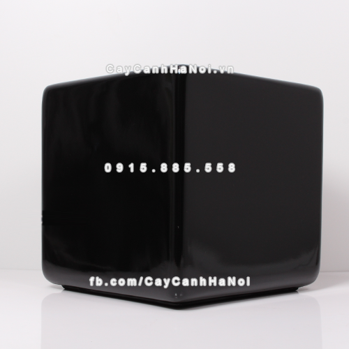 Chậu composite trồng cây cao cấp Anber 1476 (Đen bóng) 5 chau_composite_trong_cay_cao_cap_anber_1476den_bong-1