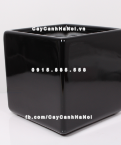 Chậu composite trồng cây cao cấp Anber 1476 (Đen bóng) 1 chau composite trong cay cao cap anber 1476den bong 2