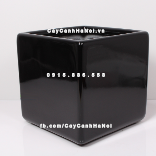 Chậu composite trồng cây cao cấp Anber 1476 (Đen bóng) 4 chau_composite_trong_cay_cao_cap_anber_1476den_bong-2