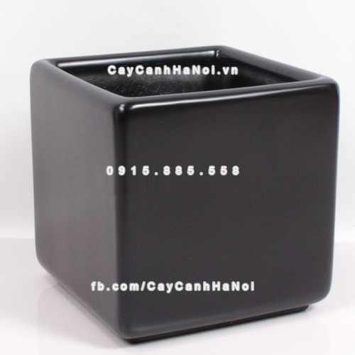 chau_composite_trong_cay_cao_cap_anber_1476den_mo-1