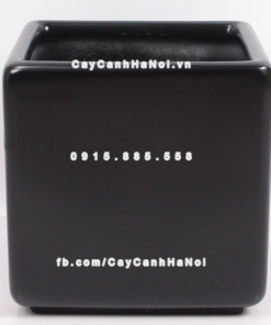 chau composite trong cay cao cap anber 1476den mo 2