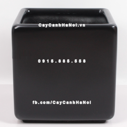 chau_composite_trong_cay_cao_cap_anber_1476den_mo-2