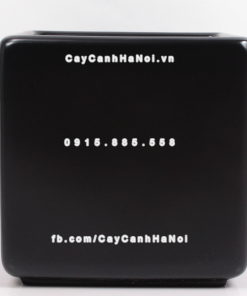 chau composite trong cay cao cap anber 1476den mo 3