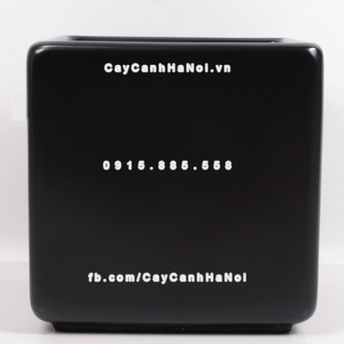 chau_composite_trong_cay_cao_cap_anber_1476den_mo-3