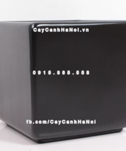 chau composite trong cay cao cap anber 1476den mo 4