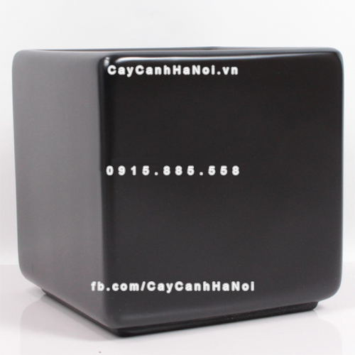 chau_composite_trong_cay_cao_cap_anber_1476den_mo-4