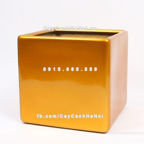 chau_composite_trong_cay_cao_cap_anber_1476vang_gold-2