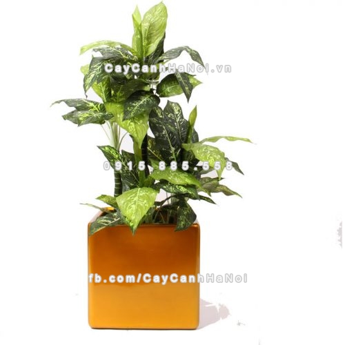 chau_composite_trong_cay_cao_cap_anber_1476vang_gold-4