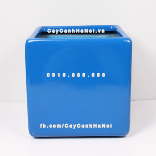 Chậu composite trồng cây cao cấp Anber 1476 (Xanh biển) 5 chau_composite_trong_cay_cao_cap_anber_1476xanh_bien-1