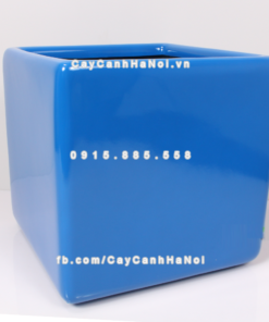 Chậu composite trồng cây cao cấp Anber 1476 (Xanh biển) 1 chau composite trong cay cao cap anber 1476xanh bien 2