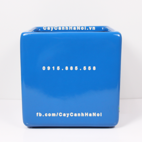 Chậu composite trồng cây cao cấp Anber 1476 (Xanh biển) 3 chau_composite_trong_cay_cao_cap_anber_1476xanh_bien-3