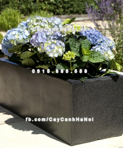 Chậu composite trồng cây cao cấp Anber 5001GD (Đen giả đá) 3 chau composite trong cay cao cap anber 5001GDden gia da 4