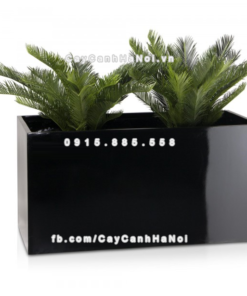 Chậu composite trồng cây cao cấp Anber 5001 (Đen bóng) 1 chau composite trong cay cao cap anber 5001den bong 1