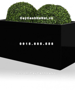 Chậu composite trồng cây cao cấp Anber 5001 (Đen bóng) 2 chau composite trong cay cao cap anber 5001den bong 2