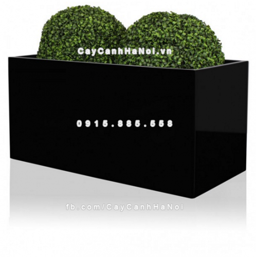 chau_composite_trong_cay_cao_cap_anber_5001den-bong-2