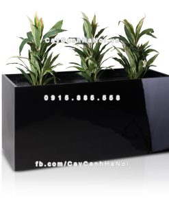 Chậu composite trồng cây cao cấp Anber 5001 (Đen bóng) 3 chau composite trong cay cao cap anber 5001den bong 4