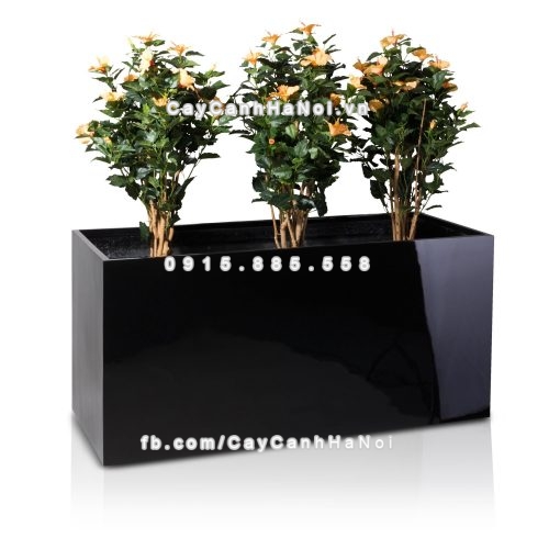 chau_composite_trong_cay_cao_cap_anber_5001den-bong-5