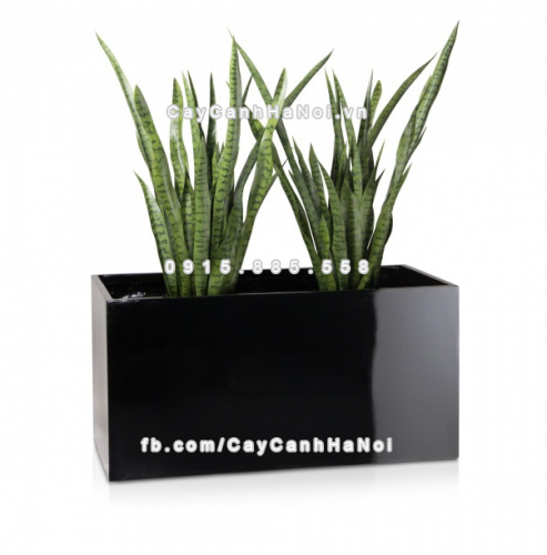 chau_composite_trong_cay_cao_cap_anber_5001den-bong-6